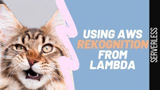 Using AWS Rekognition from AWS Lambda | Serverless