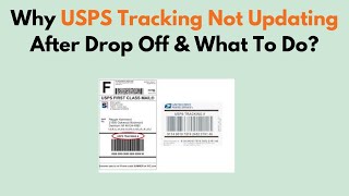 Why USPS Tracking Not Updating After Drop Off & What To Do?
