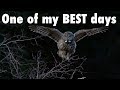 One of My BEST Days Ever of Owl Photography | Wildlife Photography Vlog