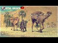 Khair Jan Baqiri new Balochi song status