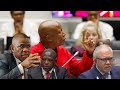 WATCH] Julius Malema reminds the evidence leader to guide, not cross-examine, General Mkhwanazi.