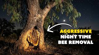 These Bees Were So Mean We Had To Do This At Night