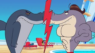 ZIG e SHARKO 🌴 O rival | Zig e Sharko Brasil | Desenho Animado em português