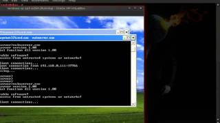 Vulnserver test