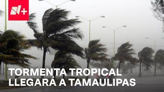 Primera tormenta tropical de 2024 podría formarse hoy en el Golfo de México - Las noticias