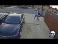 Mail carrier attacked on the job in Gardena neighborhood, video shows