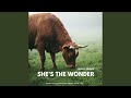 SHE´S THE WONDER