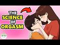 The Science of Orgasms: How They Work and Why They Feel Good