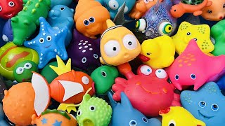 Learn Sea Animal Names and Facts | Sea Animals for Kids | Sea Creatures for Kids | Sea Animal Toys