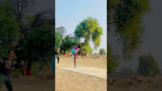 cricket lovers short video status ❣️#shorts#short