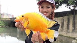 街中の河川で釣れまくる魚。台湾で釣り名人が現れた！【釣り名人企画】