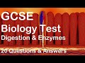 20 GCSE Biology Revision Digestion & Enzymes Questions & Answers - test yourself and learn!