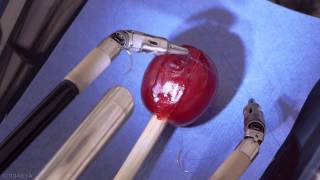 da Vinci Robot Stitches a Grape Back Together