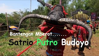 Kalapan bareng Bantengan Satrio Putro Budoyo ndadi full mberot