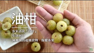 【今天吃什麼】阿嬤級的保健水果！超級食物『油柑』吃了會回甘，煮雞湯清爽又好喝