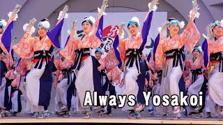 📌Always Yosakoi 原宿表参道元氣祭スーパーよさこい 2024