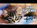 ♬ Relaxing Jazz Music for Cats ♬ Jazz for Cats 20 hours