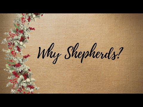 Why Are Shepherds Upd 2 Days Ago
