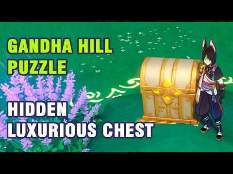 Genshin Impact: How to Get Hidden Luxury Chest at East Lokapala Jungle