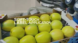 Sinclair CPL-2 Compact Pattern labeling solution