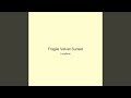 Fragile Velvet Sunset