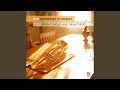 Trumpet Concerto in E Major: III. Rondo