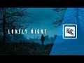 Lonely Night | Begax Music