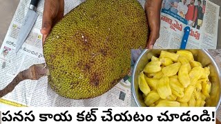 How to jack fruit cutting at home l In telugu l my lucky channel