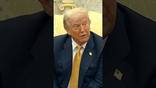 Trump: Epstein Conspiracy Theories Are a 'Big Hoax'