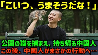 【海外の反応】「やった！捕まえたぞ！」近所の猫を捕獲して家に持ち帰る在日中国人。その後、彼らはまさかの行動へ！