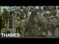 Bull Riding | Calgary Stampede | Canada | Magpie | 1973