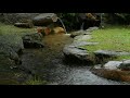 rain sound on the beautiful garden, small stream