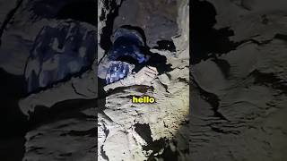 He Thought He Was Cave Diving Alone Datenverbindung