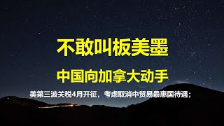 不敢叫板美墨，中国向加拿大征收100%关税，但恐换来北美关税同盟；一夜美传来两好消息：4月开征第三波关税，考虑取消中国最惠国待遇。