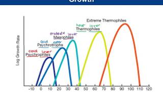 Lab 2-9 and 2-12: Effect of Temperature on Microbial Growth