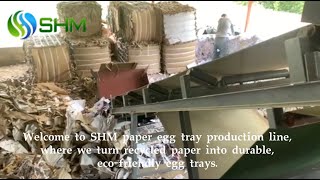 How Does a Paper Egg Tray Production Line Work? | Step-by-Step Process Explained