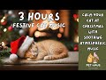 3 HOURS Relaxing Cat Music Relax Your Cat with Atmospheric Festive Warm Music for Relaxing Sleeping