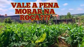 VALE A PENA MORAR NA ROÇA???   QUAL NOSSA OPINIÃO SOBRE ISSO