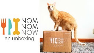 NomNomNow Cat Food Review - Unboxing and Taste Test!