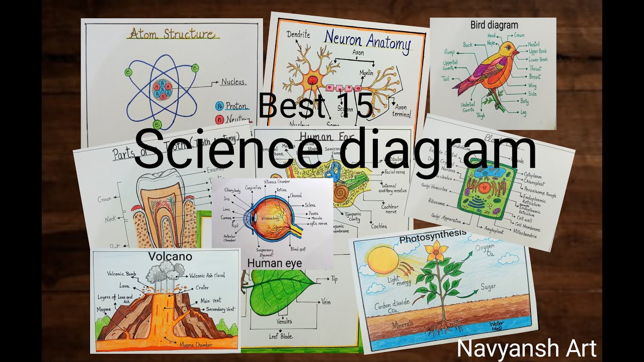 Best 15 Labeled Science Diagrams Drawing Idea/Science Diagram Drawing ...