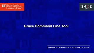 GRACE CLI Tutorial: Streamline Your NIfTI Image Processing