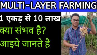 MULTILAYER FARMING | PART 8 | AKASH CHAURASIA 'S MULTI LAYER MODEL | 10 LAKH PER ACRE ?? YES OR NO?