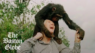 Jane Goodall funeral: Leonardo DiCaprio talks about his favorite memory of the conservationist