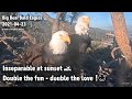 Big Bear Eagles🦅Inseparable At Sunset🌅Double The Fun😊Double The Love❤️️2021-04-23