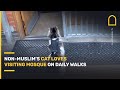 Non-Muslim's cat loves visiting mosques on daily walks