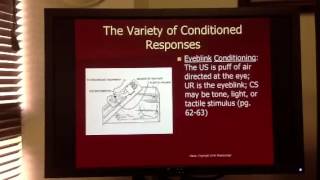 Eyeblink conditioning experiment