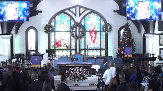 "In loving memory of Jacenta Rowena Nelson. June 17th 1980 - November 14th 2024