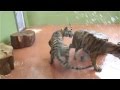 Tiger brothers have fun with water