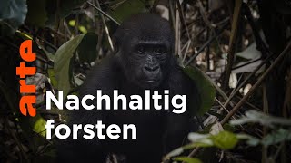 Kohabitation statt Vertreibung | Gute Nachrichten vom Planeten | Doku HD | ARTE