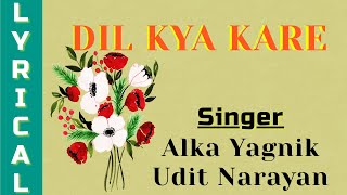 DIL KYA KARE | ALKA YAGNIK | UDIT NARAYAN | BEST ROMANTIC SONGS | 90'S HITS SONG